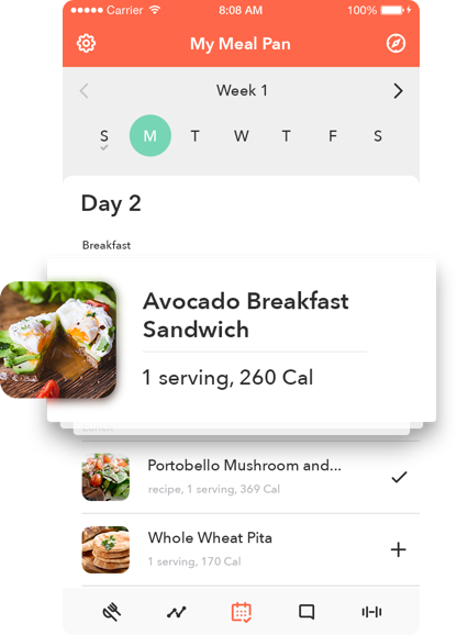饮食计划的形象